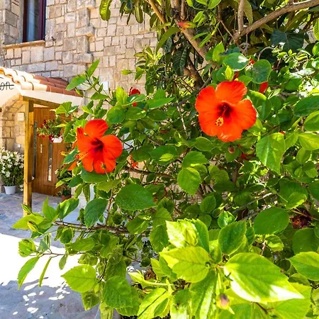 Villa Maryvilla Inspiracion Y Vacaciones - Grand Penon