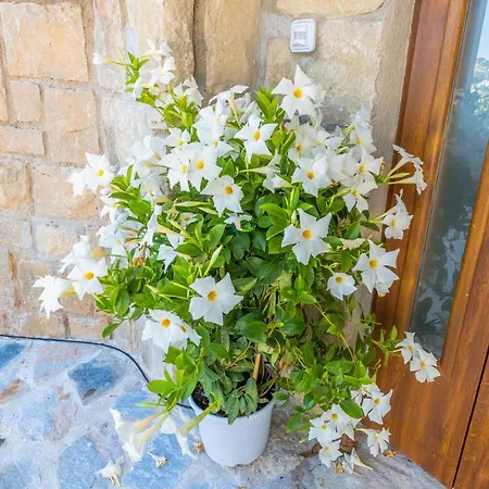Maryvilla Inspiracion Y Vacaciones - Grand Penon Villa Calpe